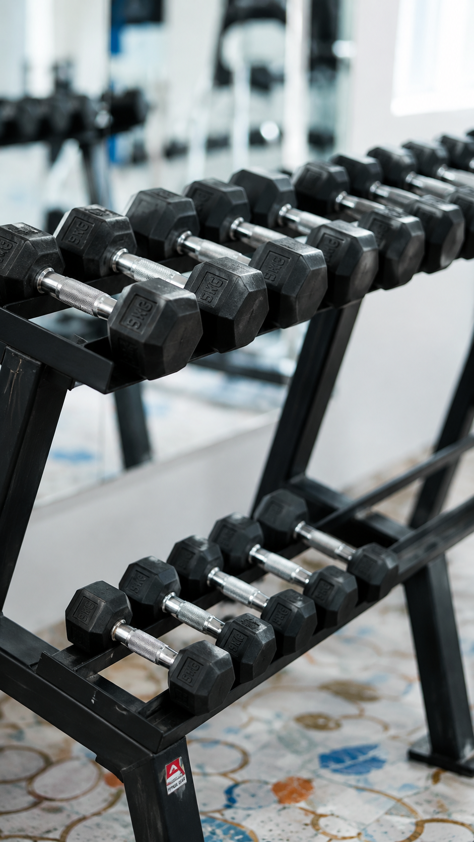 Gym 3